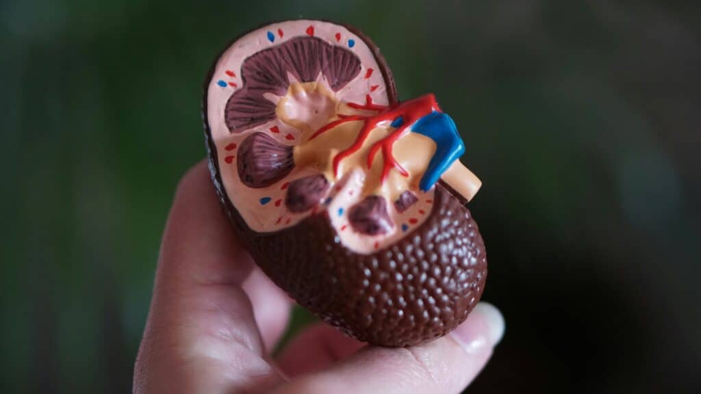 Kidney Cancer