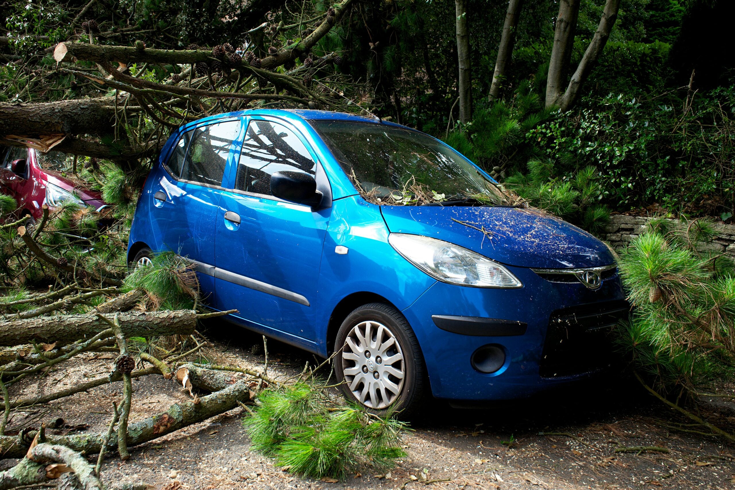 Blue car damaged by fallen tree branches after severe storm accident on wooded roadway