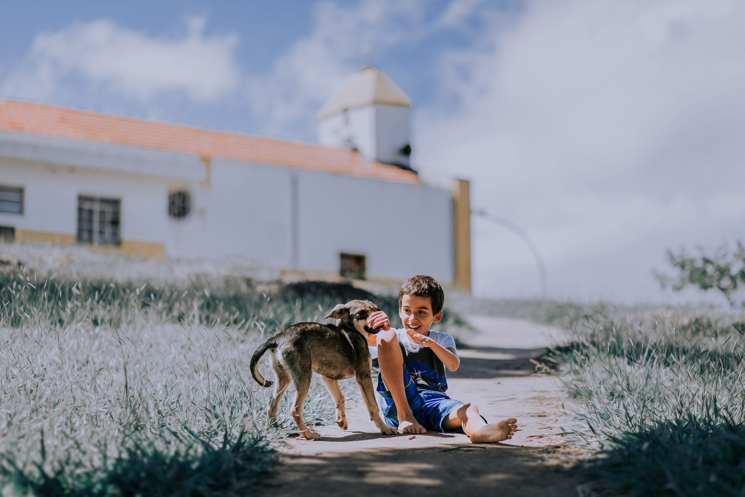 Young boy sitting on a path while gently playing with a dog outdoors near a white building